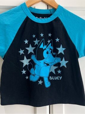 Disney Bluey Cropped Tee
